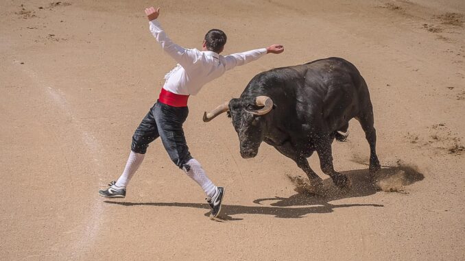 Torero