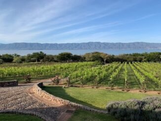 Entre el lago y la vid: El renacer vitivinícola de Finca La Estramancia