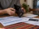 Manos sostienen una cartera casi vacía junto a estados de cuenta y una tarjeta bancaria, en una escena que ilustra pérdida de dinero por una inversión riesgosa.